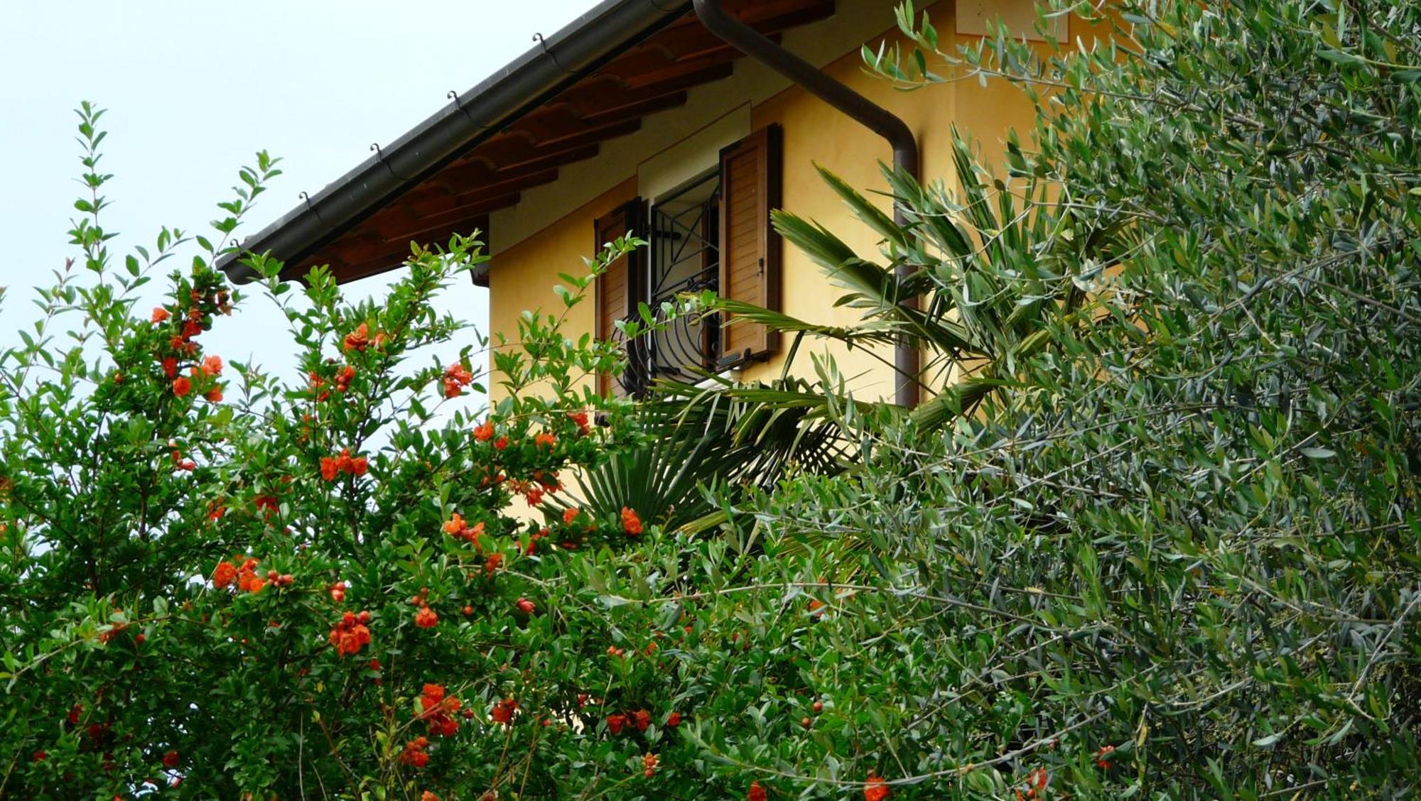Albergo Le Piante Manerba del Garda Exteriör bild